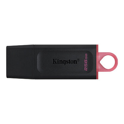 PENDRIVE MEMORIA USB 3.2 GEN1 KINGSTON DATATRAVELER EXODIA 256GB (CON TAPA Y ENGANCHE PARA LLAVERO) COLOR NEGRO (CANON 0.24 INCLUIDO)